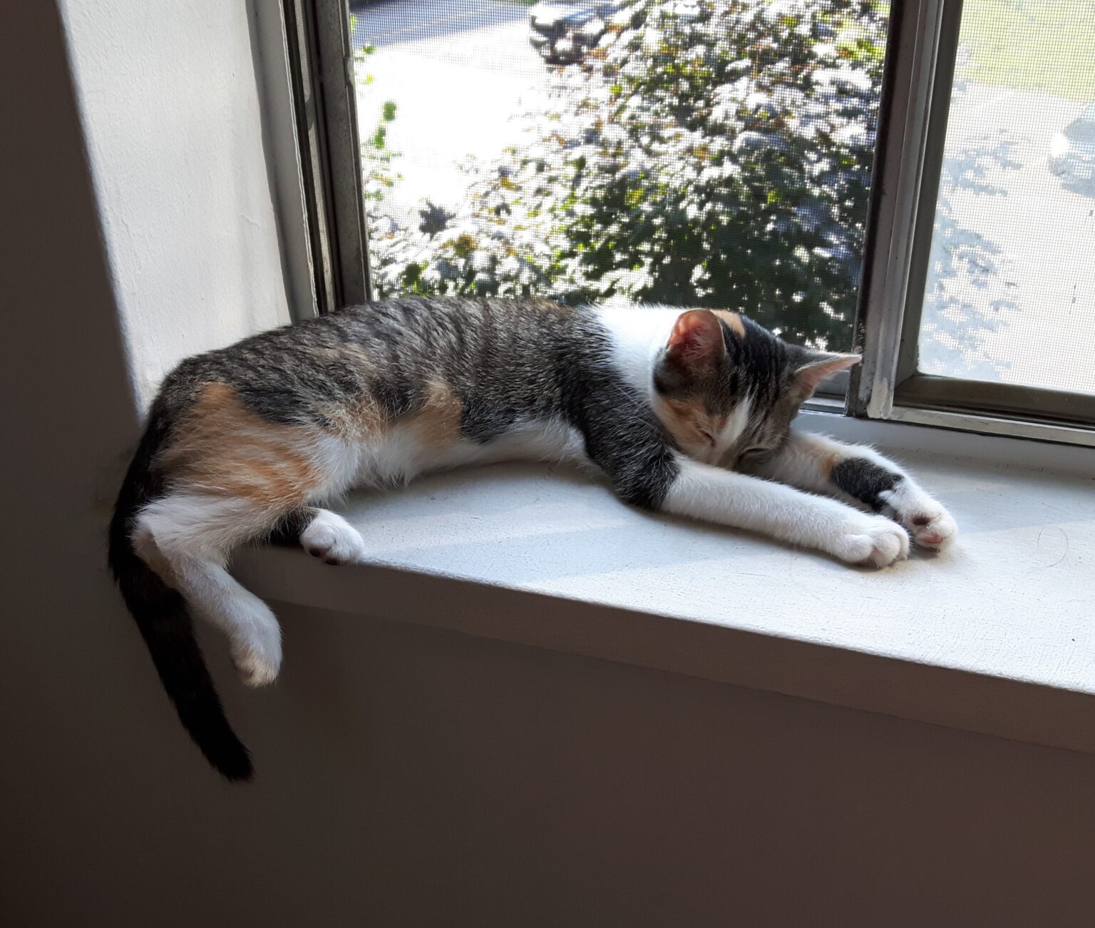 _Rosie_Growing2-Nov-23