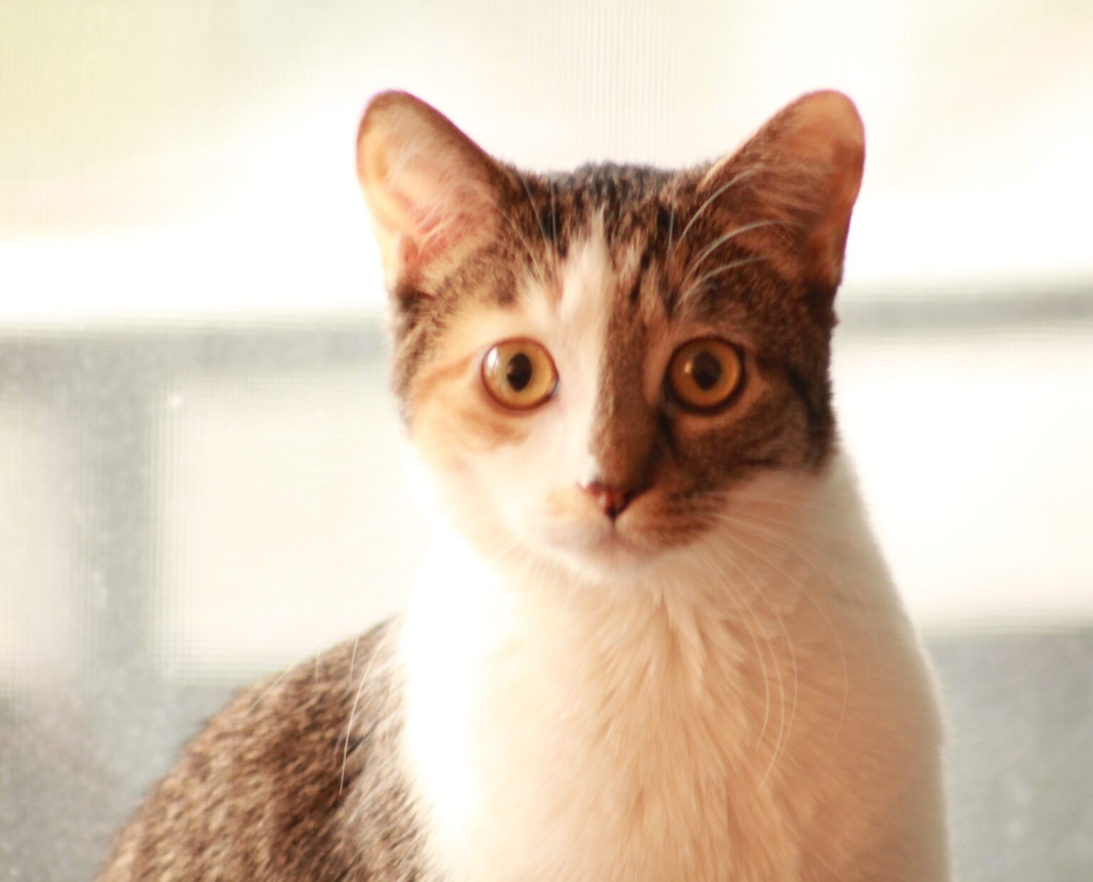 _Rosie3-Jan11-24