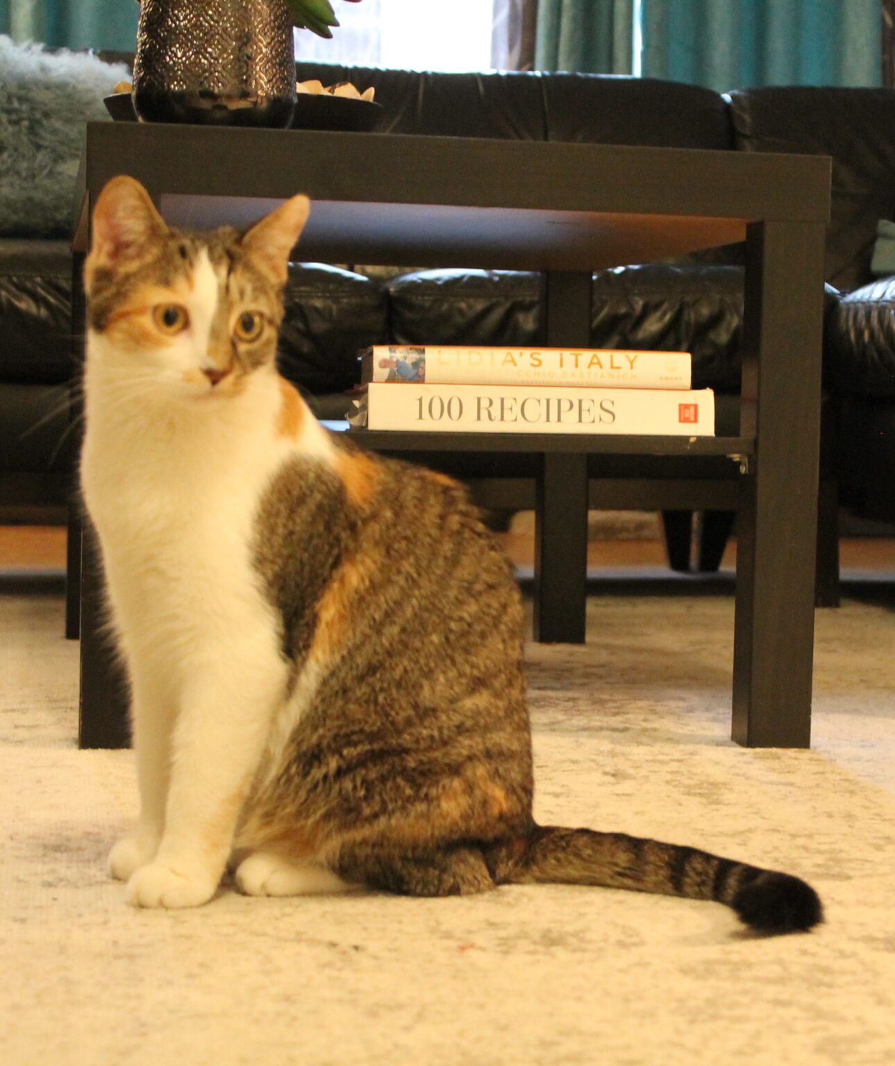 _Rosie3-Jan12-24