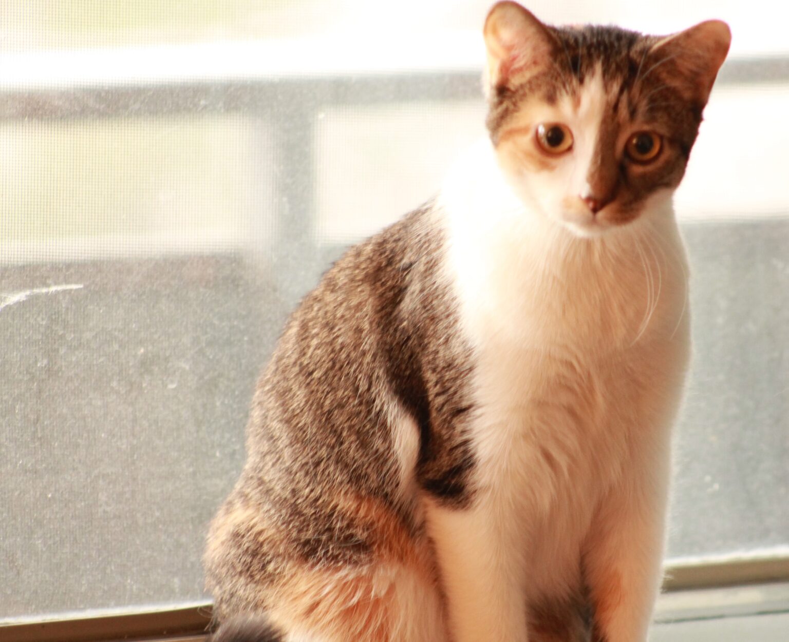 _Rosie4-Jan11-24