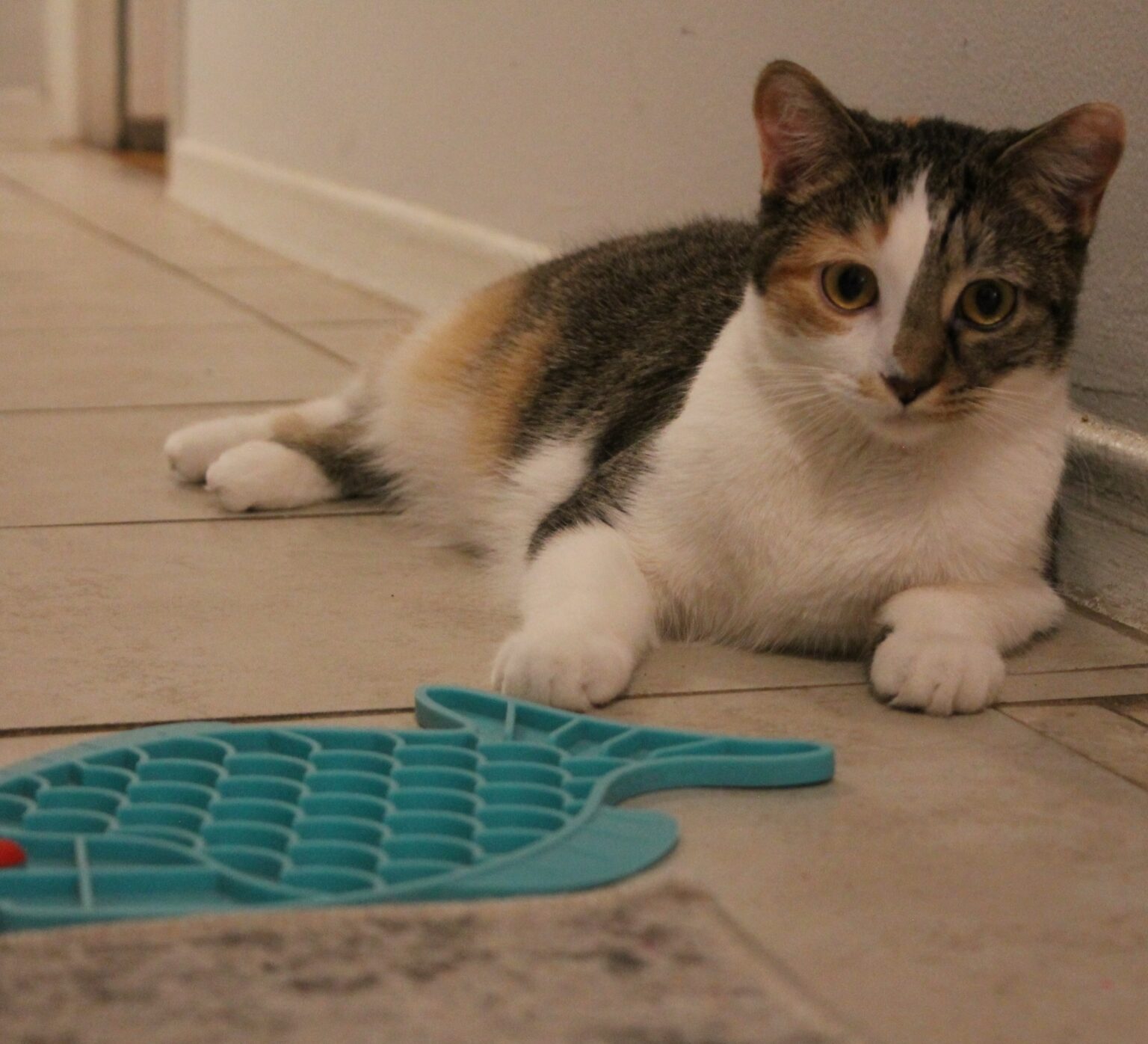_Rosie8-Jan12-24