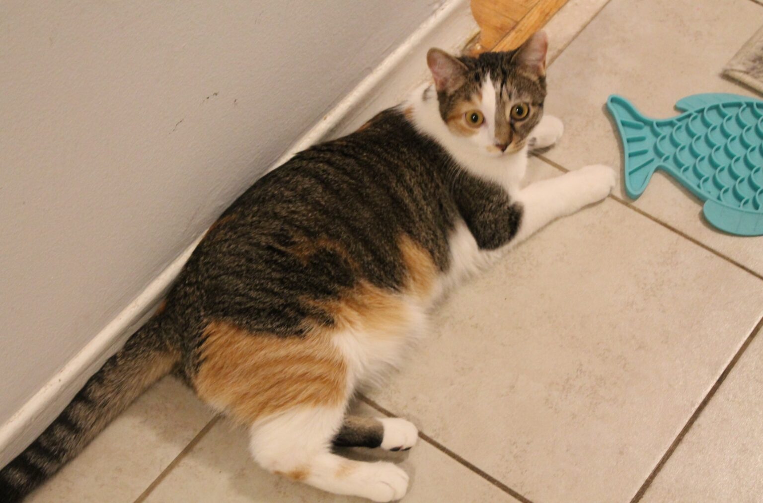 _Rosie9-Jan12-24